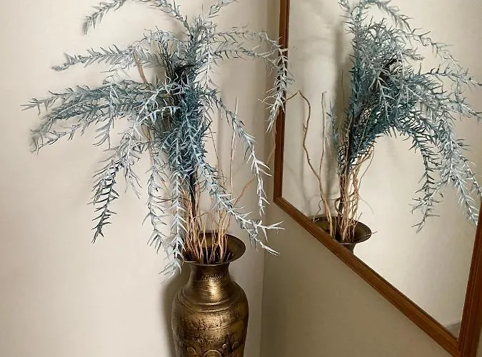 Lejlighed Nikoleta Downtown *