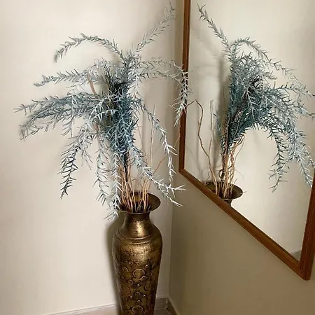 Lägenhet Nikoleta Downtown *